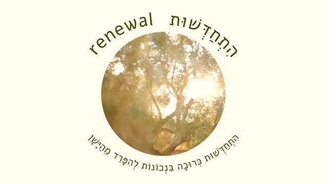 Yehuda Smith - Renewal